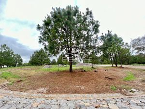 TERRENO EN VENTA, "REAL DE ENCINOS" TAPALPA, JALISCO