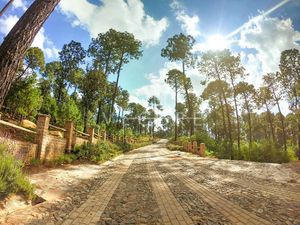 TERRENO EN VENTA EN BOSQUES DE LA CAÑADA, TAPALPA