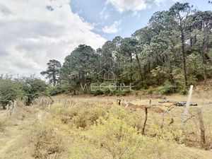 TERRENO EN VENTA, TAPALPA, JALISCO