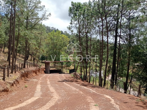 TERRENO EN VENTA EN MAZAMITLA, JALISCO