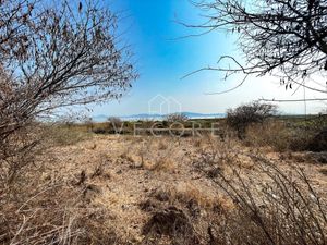 TERRENO AGRICOLA EN VENTA EN CHAPALA, JALISCO