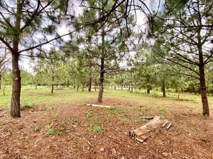 TERRENO EN VENTA, "REAL DE ENCINOS" TAPALPA, JALISCO