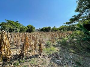 Excelente Terreno para desarrollar en Poza Rica Veracruz