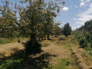 TERRENO EN SAN FELIPE TEOTLALCINGO, PUEBLA, MÉXICO