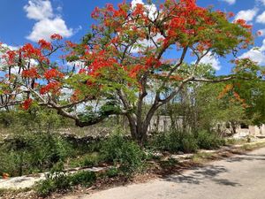 Terreno en Venta en la Colonia San Marcos Nocoh