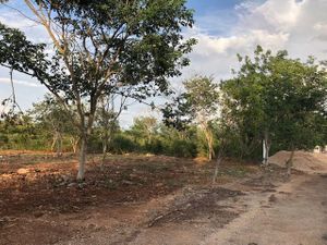 Terreno en venta  en el oriente de la ciudad de Mérida