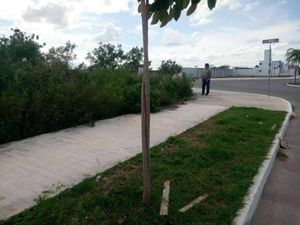 Renta terreno esquina de glorieta comercial Los Héroes