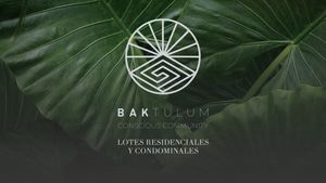 LOTE EN VENTA BAK TULUM