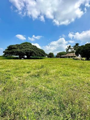 RANCHO EN VENTA PARA GANADO Y CULTIVO