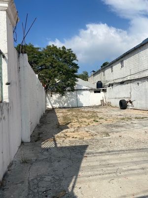 TERRENO COMERCIAL EN RENTA EN AVENIDA PRINCIPAL