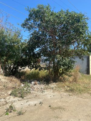 TERRENO EN VENTA