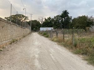 AMPLIO TERRENO EN RENTA A UNOS METROS DEL BOULEVARD BELISARIO DOMÍNGUEZ