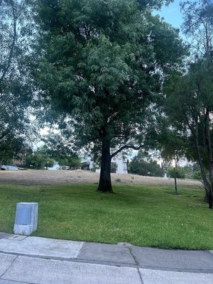 TERRENO EN CAMPO LAGO