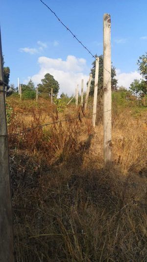 VENDO TERRENO IDEAL PARA CABAÑA EN SAN CRISTÓBAL DE LAS CASAS, EJIDO. CHIAPAS