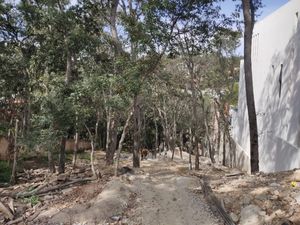 Gran terreno en Venta  para inversión en Sayavedra