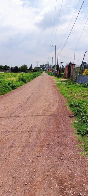 SE VENDEN LOTES EN MAGDALENA PANOAYA TEXCOCO