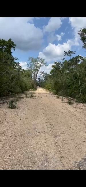 En VentaTerreno Eco friendly en Ruta de los Cenotes Quintana Roo