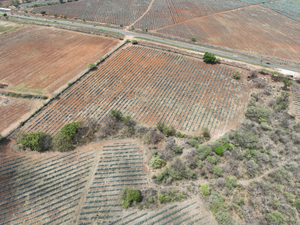 TERRENO SOBRE CARRETERA LIBRE A TEQUILA ZONA PAISAJE AGAVERO