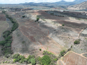 TERRENO SOBRE CARRETERA LIBRE A TEQUILA