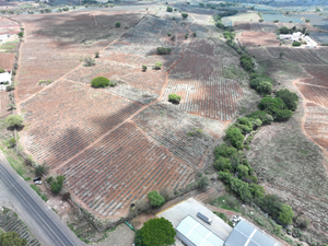 TERRENO SOBRE CARRETERA LIBRE A TEQUILA