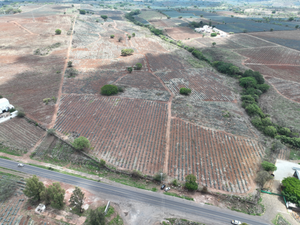 TERRENO SOBRE CARRETERA LIBRE A TEQUILA