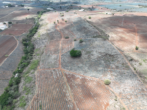 TERRENO SOBRE CARRETERA LIBRE A TEQUILA