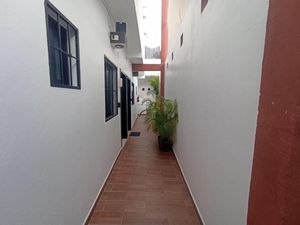 un pasillo comun en xharm playa del carmen