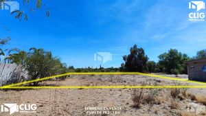 Terreno arbolado en Paso de Perules, muy cerca de la Fiscalía