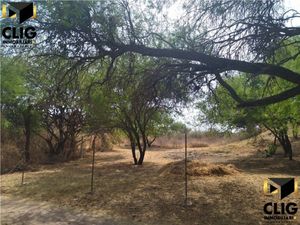 Terreno en Campestre Cervera cerca de Quinta Gaviota