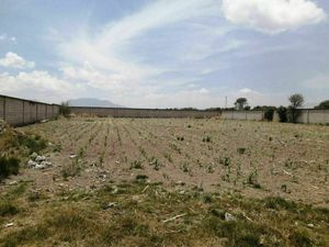 CALIMAYA TERRENO EN VENTA LA CONCHITA