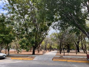 Local en Renta en Jardines del Bosque fte a Parque de las Estrellas