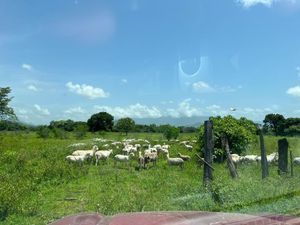 HECTAREAS EN VILLAFLORES CHIAPAS