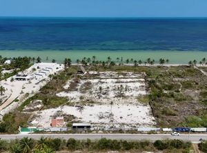 Terreno frente al mar en la Riviera Yucateca