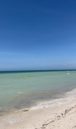 Terreno en la costa yucateca con excelente ubicación