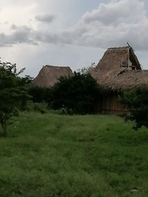 TERRENO CON CENOTE ABIERTO Y PARADOR TURISTICO EN ESPITA YUCATAN