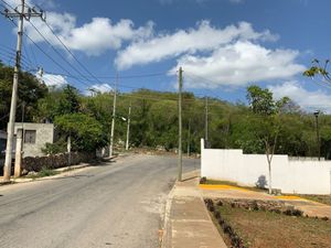 TERRENO DENTRO DE TICUL SOBRE CARRETERA