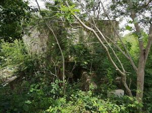 TERRENO CON CENOTE Y GRUTAS EN MERIDA, TIXCACAL, YUCATAN.