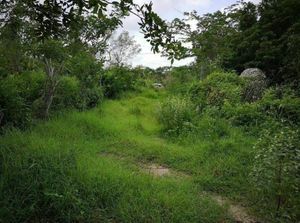 TERRENO CON CENOTE Y GRUTAS EN MERIDA, TIXCACAL, YUCATAN.