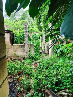 CASA ESTILO COLONIAL EN EL CENTRO DE MERIDA