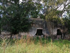 TERRENO DE 211 HA CON CASCO DE HACIENDA CERCA DE VALLADOLID