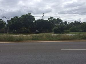 TERRENO A LA SALIDA DE CARRETERA MERIDA-CANCUN