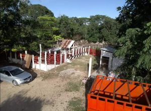 RANCHO CON CENOTE SEMI ABIERTO DE 23 HECTAREAS EN TICUCH VALLADOLID