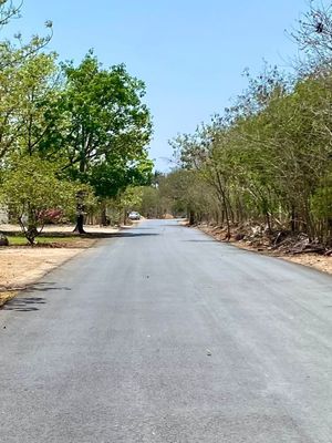 Terreno en Venta, Jalapa Cholul, Mérida