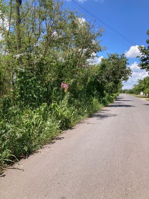 Terreno en Venta, Jalapa Cholul, Mérida