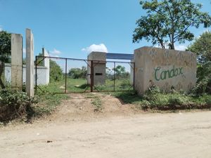 SE VENDEN TERRENOS DE 1000 MTS EN BERRIOZÁBAL