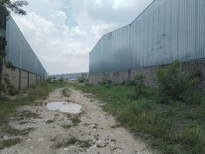 BODEGA EN RENTA DE 1000 MTS  JUAN CRISPIN