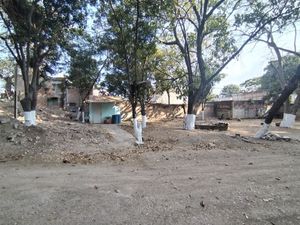 TERRENO CON PALAPA Y CASA PARA GIRO COMERCIAL