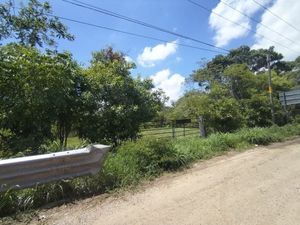 SE RENTAN 5000 MTS SOBRE CARRETERA TUXTLA BERRIOZÁBAL