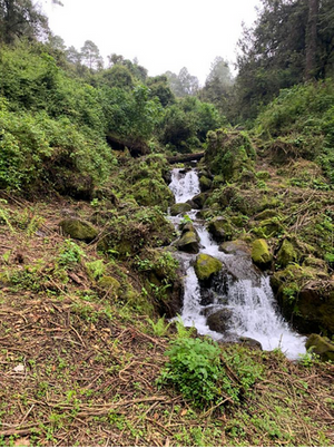 Terreno en venta Rancho San Simón