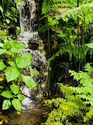 Terreno en Rancho San Simón